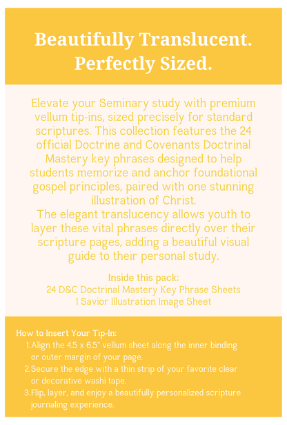 Doctrine and Covenants Seminary Doctrinal Mastery Vellum inserts. 25-Piece Set