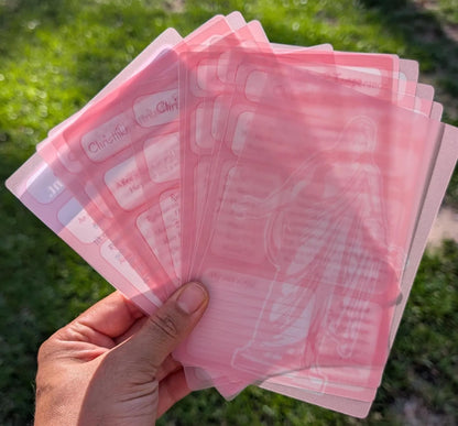 Book of Mormon Tip-Ins. Christlike Attributes Vellum inserts. 14-Piece Set (pink)