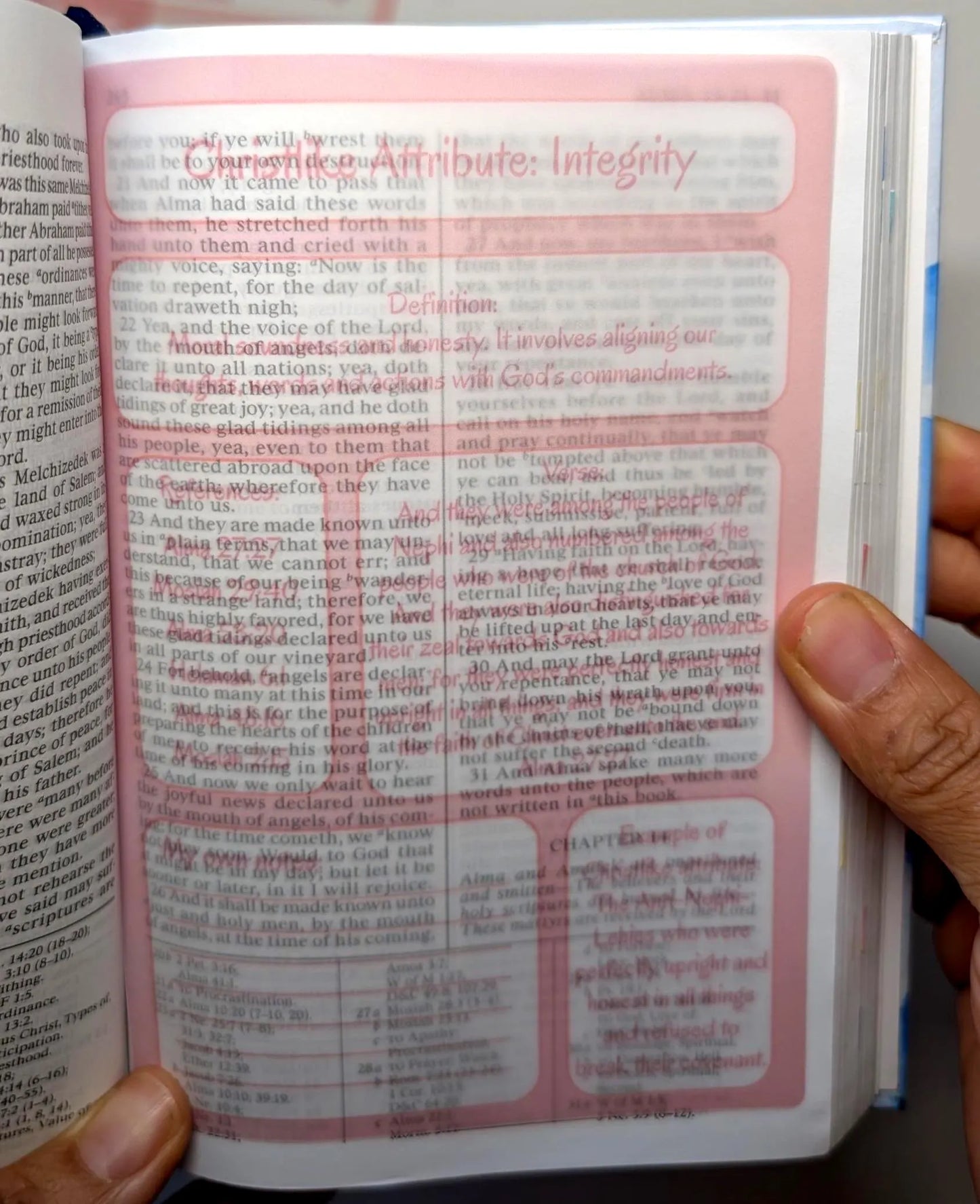 Book of Mormon Tip-Ins. Christlike Attributes Vellum inserts. 14-Piece Set (pink)